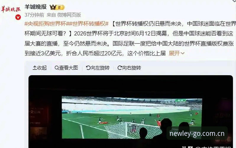 6大关键因素解析：世界杯观赛热潮为何遭遇“冷场”——从签证困境看国际赛事新挑战